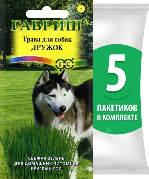 Семена Трава для собак Дружок (овес, райграс), 5 пакетиков по 10г