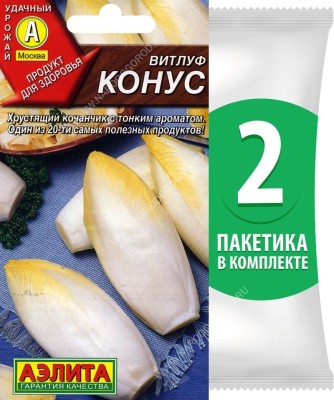 Семена Витлуф (салатный цикорий) Конус, 2 пакетика по 0,5г/300шт в каждом