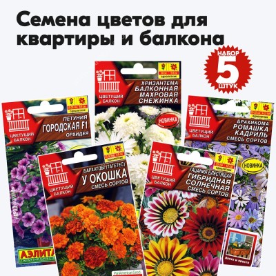 Семена цветов для дома балкона (бархатцы, брахикома, гацания, петуния, хризантема) - 5 пакетиков