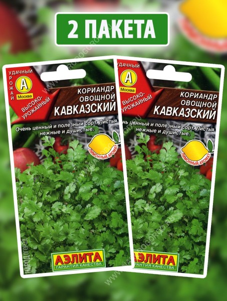 Семена Кориандр овощной Кавказский, 2 пакетика по 0,5г