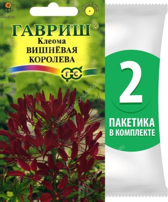 Семена Клеома Вишневая Королева, 2 пакетика по 0,3г/150шт