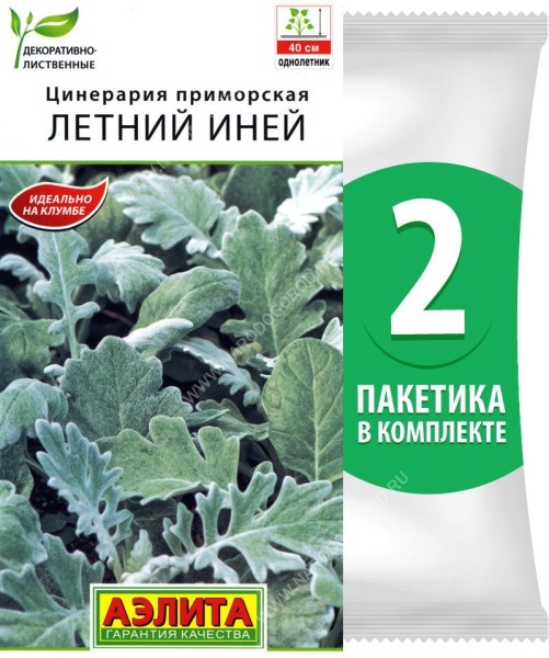 Семена Цинерария приморская Летний Иней, 2 пакетика по 0,1г/200шт в каждом