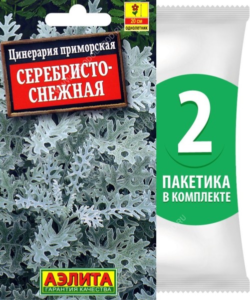 Семена Цинерария приморская Серебристо-Снежная, 2 пакетика по 0,1г/170шт в каждом