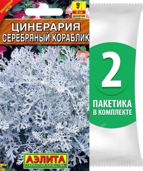 Семена Цинерария приморская Серебряный Кораблик, 2 пакетика по 0,1г/200шт в каждом