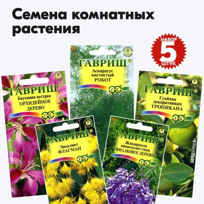 Семена комнатных растений для дома многолетние (баухиния, аспарагус, гуайава, эвкалипт, жакаранда) Гавриш - набор 5 пакетиков