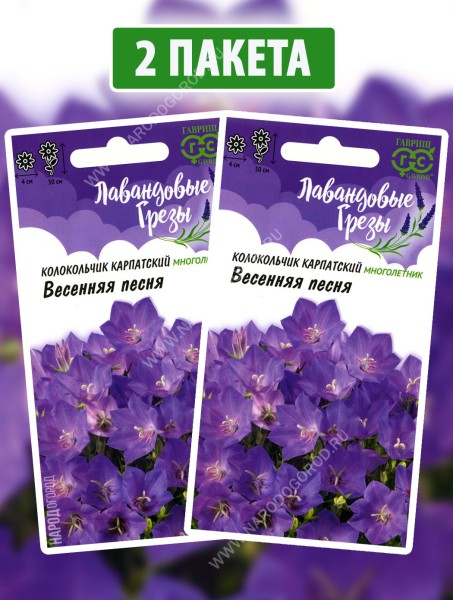 Семена Колокольчик карпатский кампанула Весенняя Песня, 2 пакетика по 0,05г