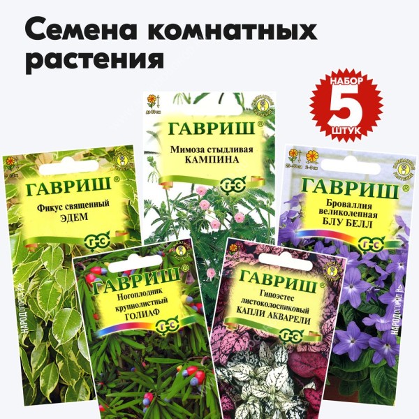 Семена цветов многолетних комнатных многолетние (фикус, мимоза, броваллия, ногоплодник, гипоэстес) Гавриш - набор 5 пакетиков