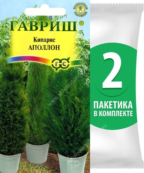Семена Кипарис вечнозеленый Аполлон Комнатные растения, 2 пакетика по 0,1г/10шт