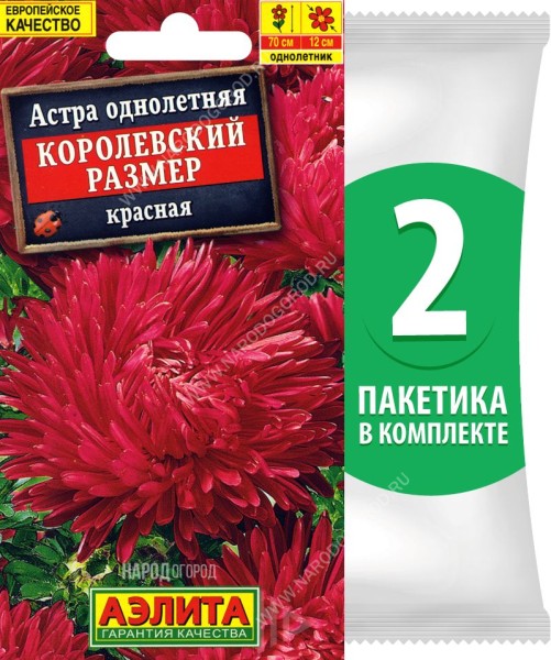 Семена Астра пионовидная махровая Королевский Размер Красная, 2 пакетика по 0,1г