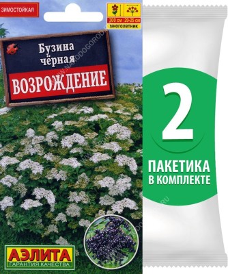 Семена Бузина черная Возрождение, 2 пакетика по 0,5г/150шт