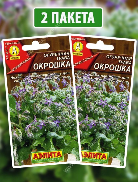 Семена Огуречная трава Окрошка, 2 пакетика по 25шт