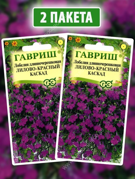Семена Лобелия Лилово-Красный Каскад, 2 пакетика по 0,01г