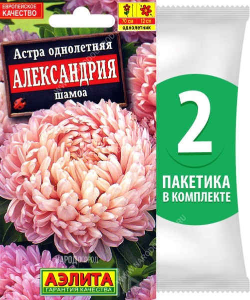 Семена Астра махровая Александрия Шамоа, 2 пакетика по 0,1г