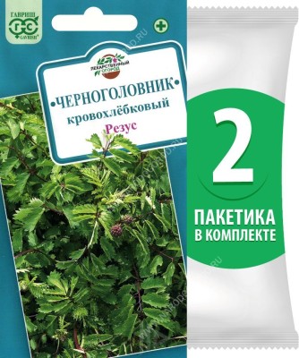 Семена Черноголовник кровохлебковый (кровохлебка) Резус, 2 пакетика по 0,5г/50шт