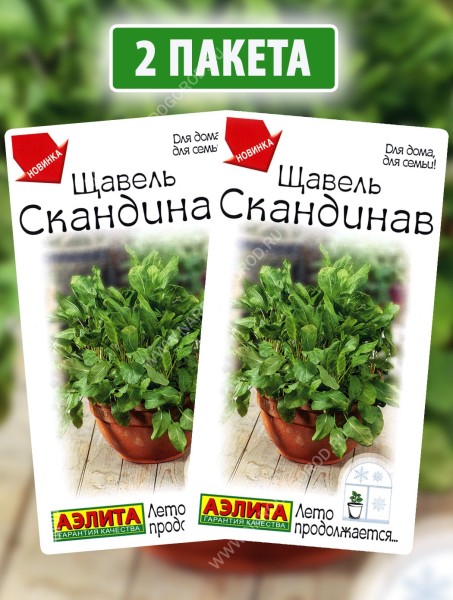 Семена Щавель Скандинав, 2 пакетика по 0,5г