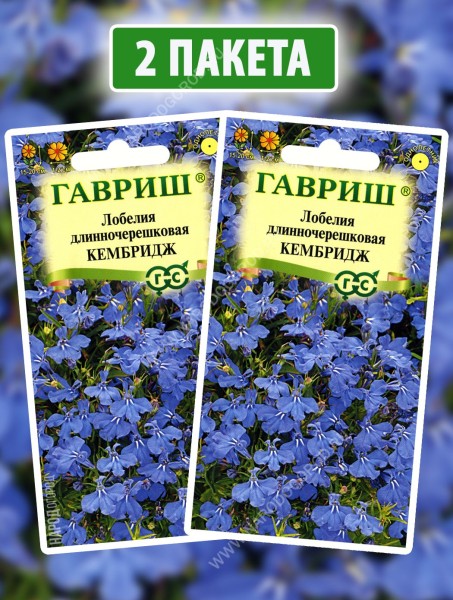 Семена Лобелия Кембридж, 2 пакетика по 0,01г