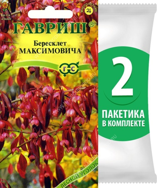 Семена Бересклет Максимовича, 2 пакетика по 0,2г/5шт