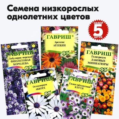 Семена низкорослых однолетних цветов для сада и дачи (остеоспермум, гилия, лобулярия, арктотис, гелихризум) Гавриш - набор 5 пакетиков