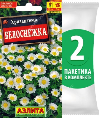 Семена Хризантема Белоснежка, 2 пакетика по 0,1г/170шт