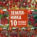 Семена Земляника ремонтантная, 10 пакетиков