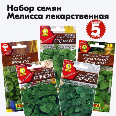 Семена мелисса для дома огорода лекарственная (лимонная трава или мяточник, медовка), комплект 5 пакетиков