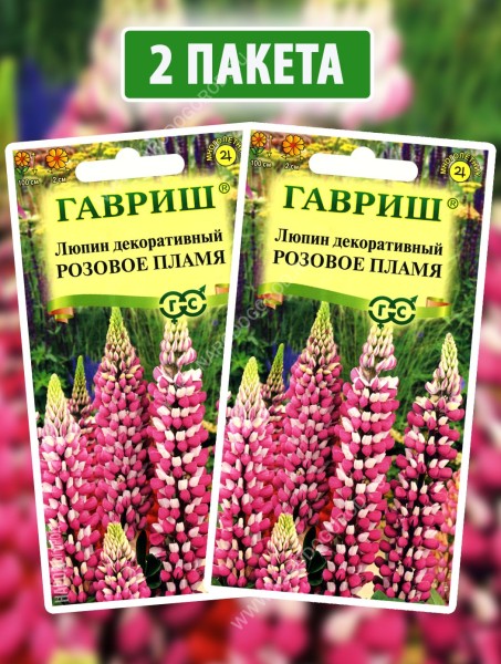 Семена Люпин Розовое Пламя, 2 пакетика по 0,5г