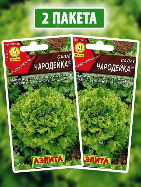 Семена Салат полукочанный Чародейка, 2 пакетика по 0,5г