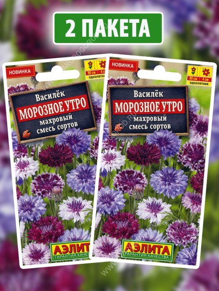 Семена Василек махровый Морозное Утро, 2 пакетика по 0,3г