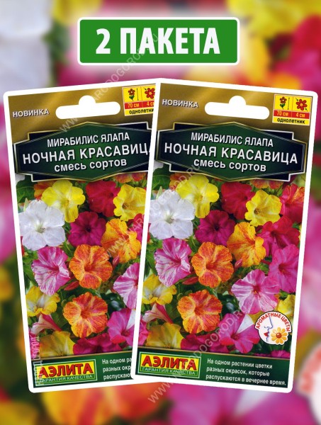 Семена Мирабилис ялапа Ночная Красавица, 2 пакетика по 1г