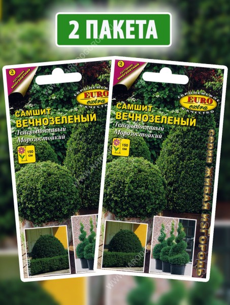 Семена Самшит Вечнозеленый, 2 пакетика по 0,1г
