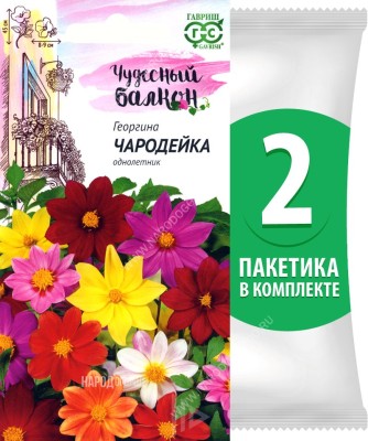 Семена Георгина Чародейка, 2 пакетика по 0,3г