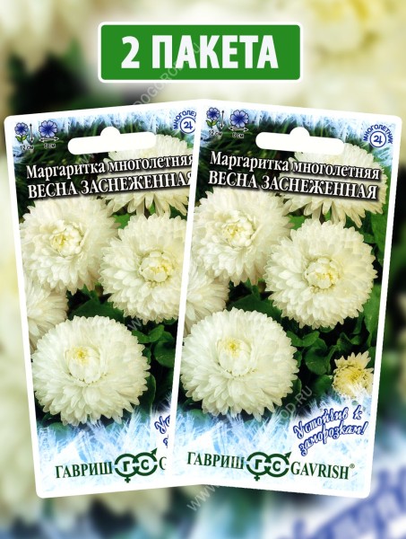 Семена Маргаритка Весна Заснеженная, 2 пакетика по 0,02г
