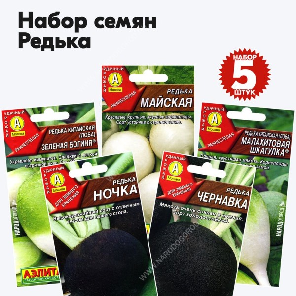 Семена редьки черной и зеленой, набор 5 пакетиков