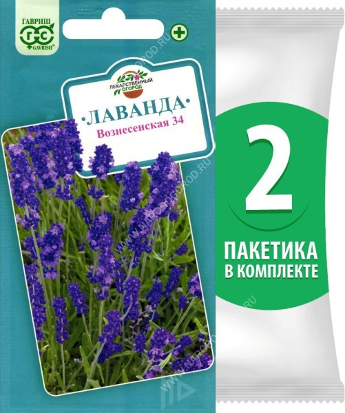 Семена Лаванда узколистная Вознесенская, 2 пакетика по 0,05г/35шт