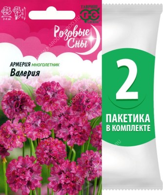 Семена Армерия приморская Валерия, 2 пакетика по 0,02г/15шт