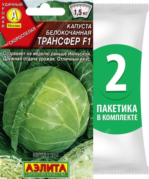 Семена Капуста белокочанная Трансфер F1, 2 пакетика по 0,1г/20шт